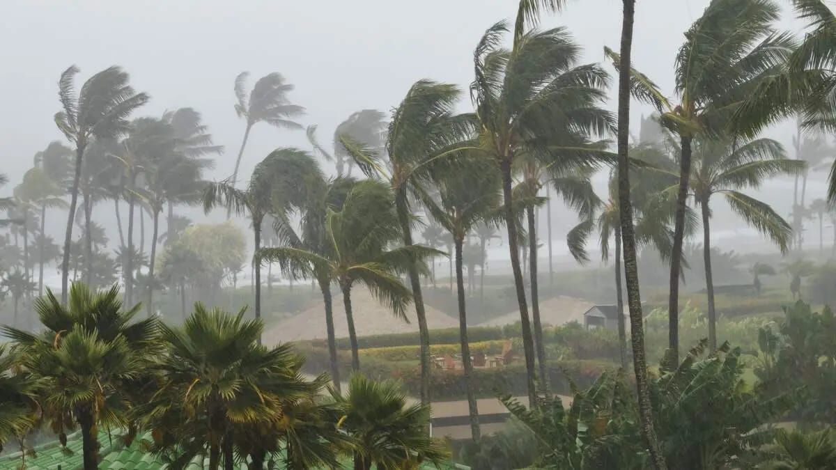 Cyclone Arnab: 2,460 villages and 92 urban areas at risk; Andhra Pradesh identifies 1,763 shelters