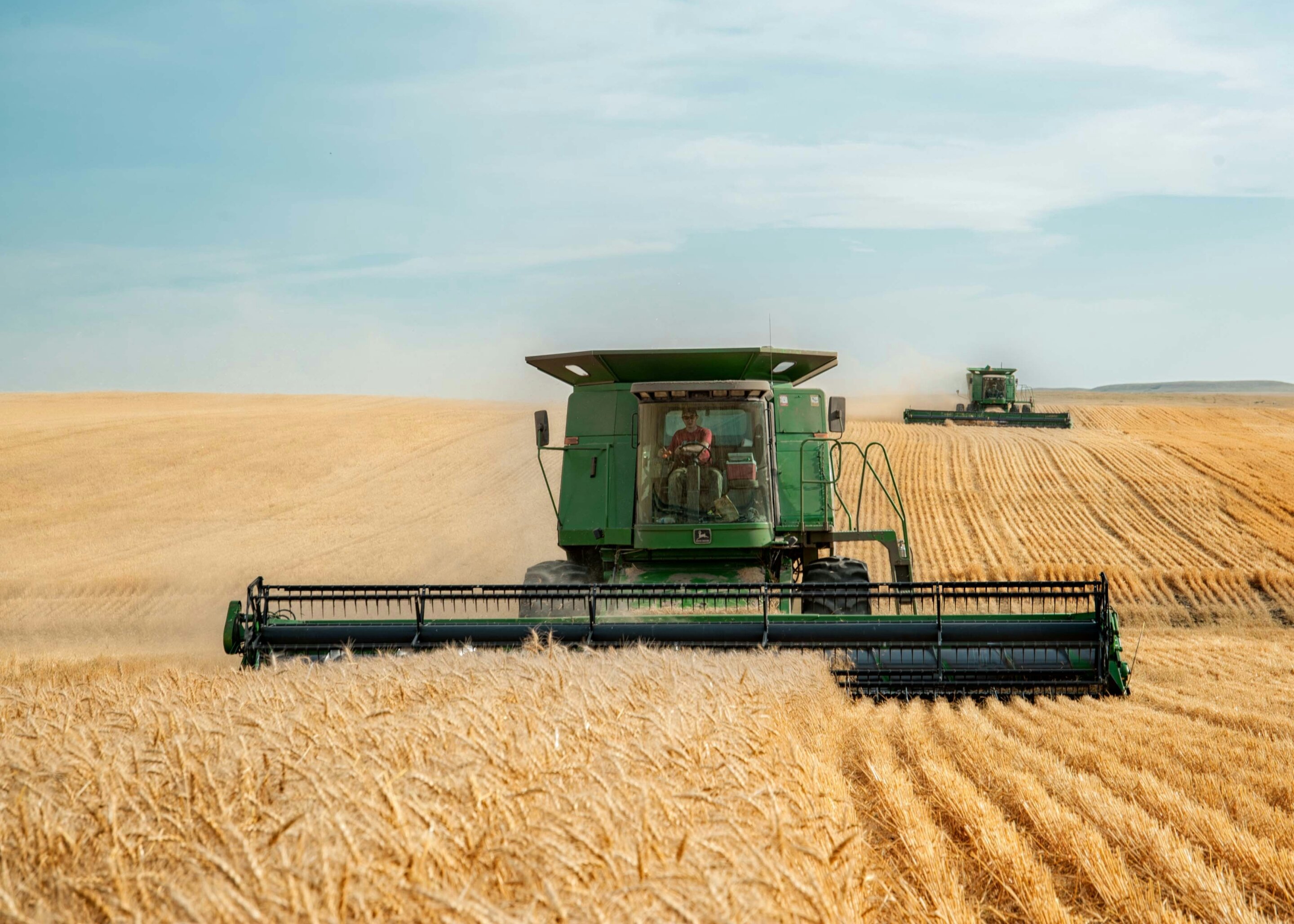 Sweeping changes to agri-food supply chain needed to tackle global food shortages
